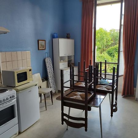 Les Hortensias Studio Rez De Chaussee Bourbonne-les-Bains Eksteriør billede